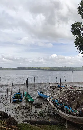 Várias canoas de pesca a margem do lago
